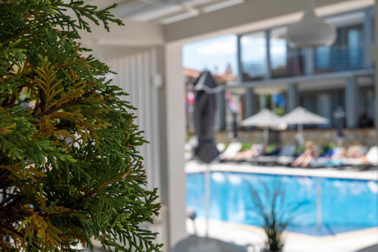 Hotel Dionysos &